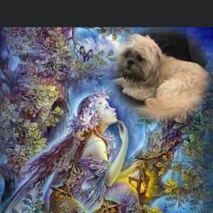 Meet your Posher, Brenda